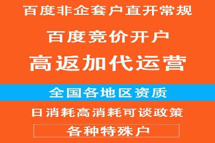 百度竞价推广的优化策略：一家科技公司的成功经验